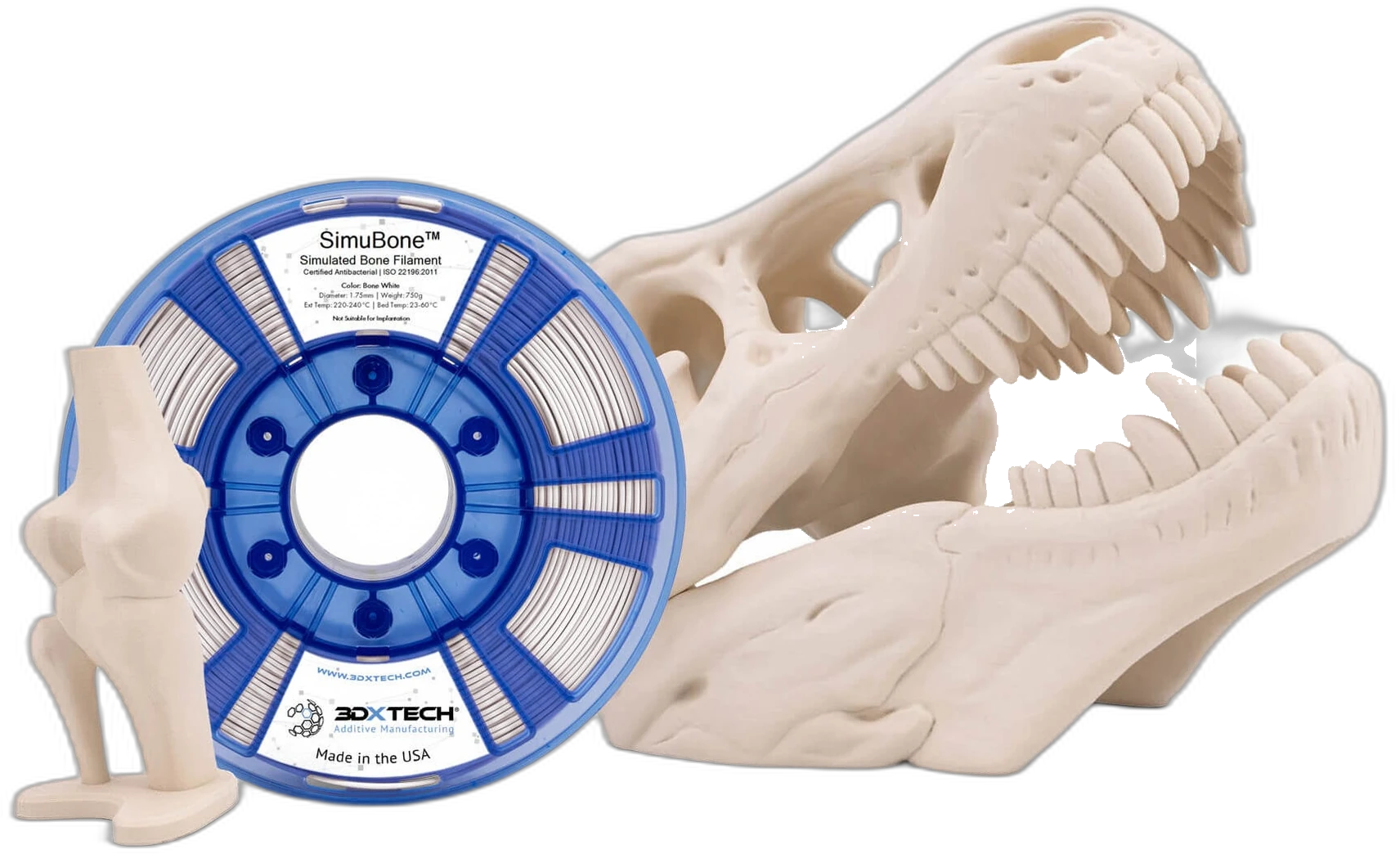 Anatomical models 3D-printed in 3DXTech SimuBone — a knee-joint model and a large dinosaur skull beside the spool