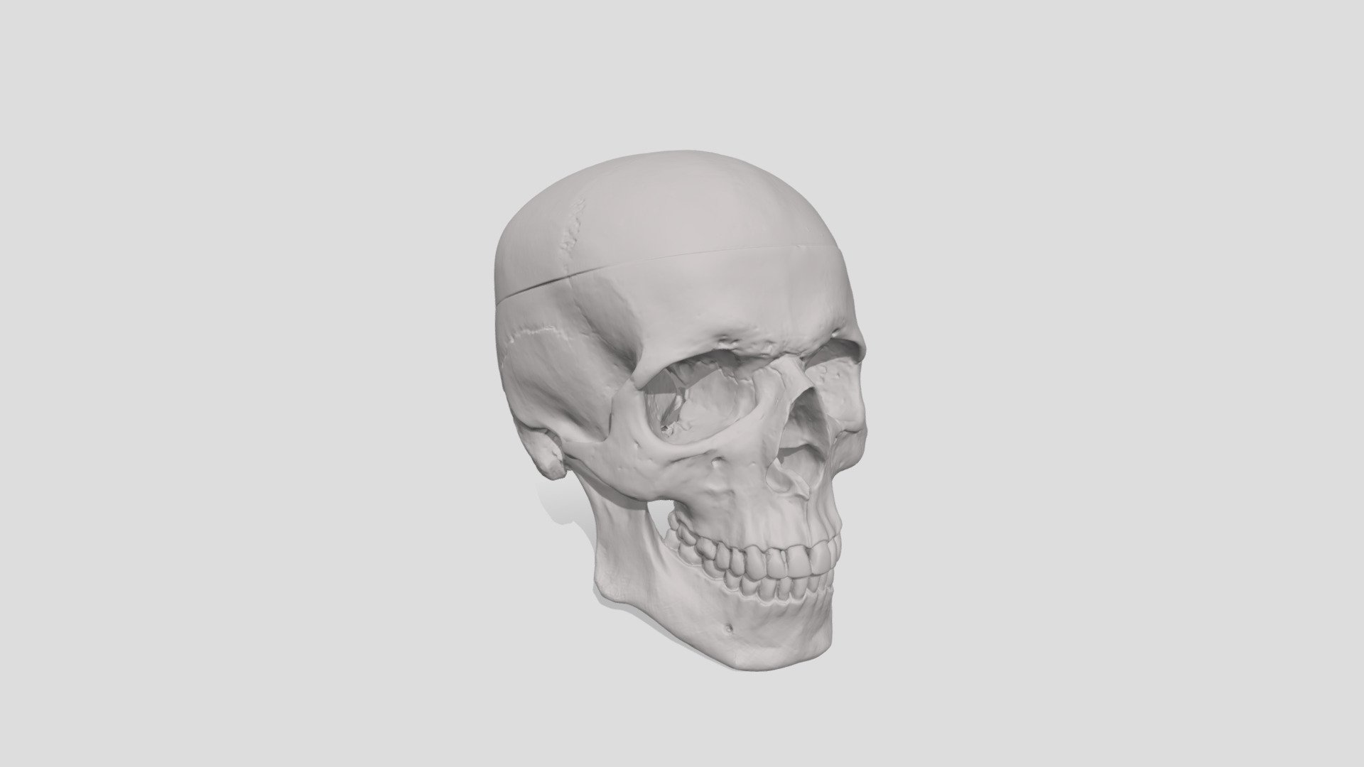 Anatomical head laser-scanned with the EINSTAR Rockit &mdash; interactive 3D model &mdash; click to rotate in 3D
