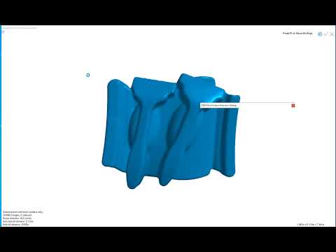 DezignWorks surface extraction